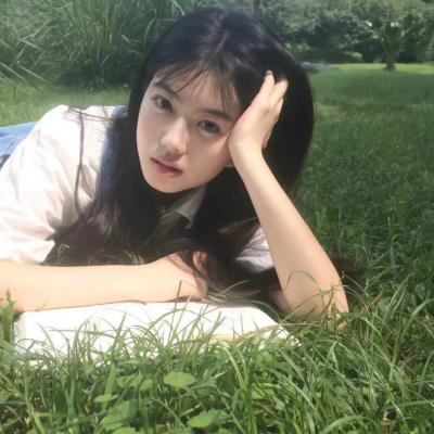 集中营碧血花